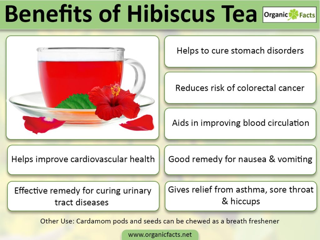 Hibiscus flower discover its benefits for your health Positively Sharing