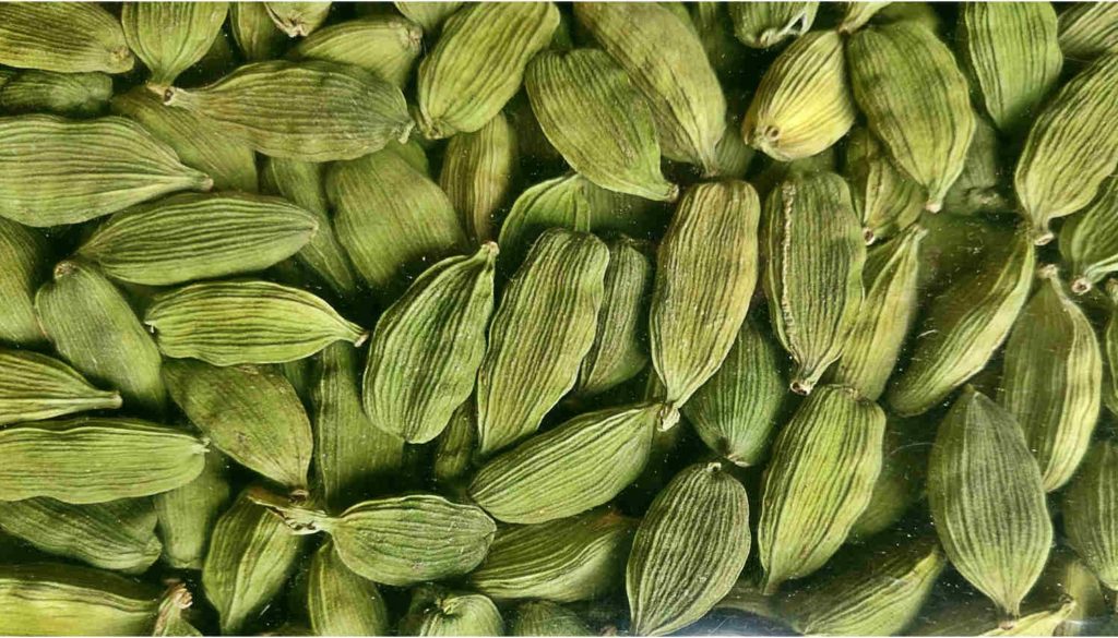 Know The Multiple Health Benefits of Cardamom – Positively Sharing